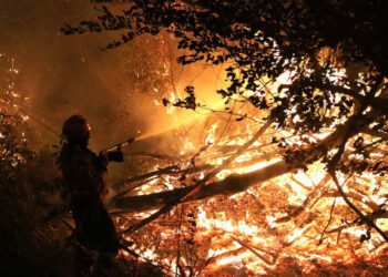 Forest fires rage across South America, devastating the Amazon and beyond