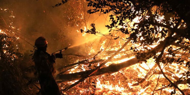 Forest fires rage across South America, devastating the Amazon and beyond