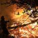 Forest fires rage across South America, devastating the Amazon and beyond