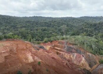 Founders shines light on Suriname