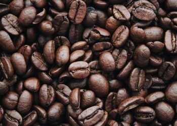 Fundraising coffee morning on Sunday for Tipp priest returning to South America