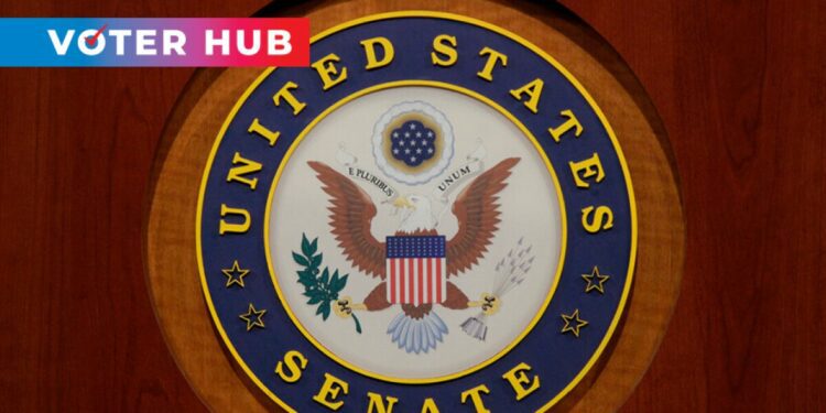 General Election 2024: California US Senate race