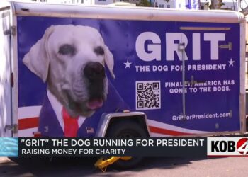 Grit launches 'America Has Gone to the Dogs' presidential campaign