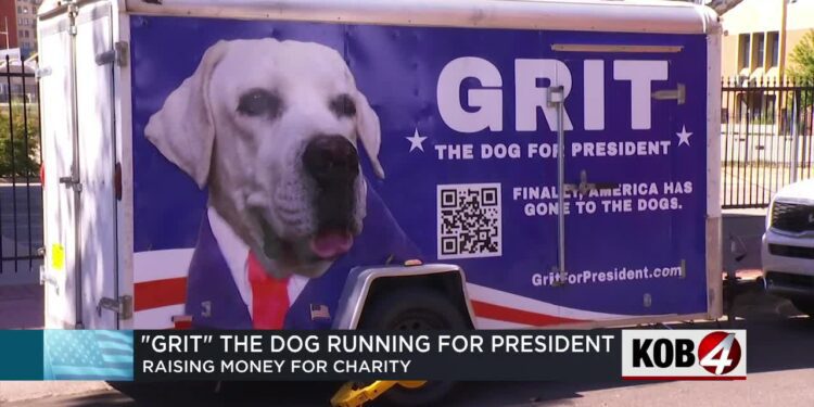 Grit launches 'America Has Gone to the Dogs' presidential campaign