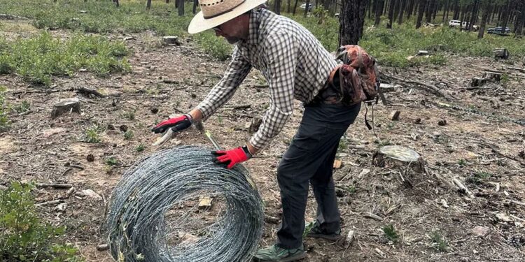 Group claims ownership over 1,400 acres of Colorado forest, sparking outrage | Western Colorado
