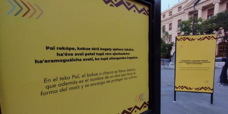 'Guaraní is identity': How an Indigenous Paraguayan language has endured through the ages