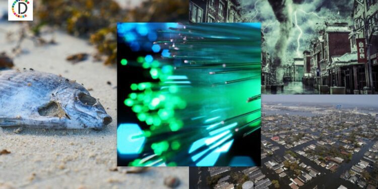 Guardians of the Paramos: Protecting South America's Water Towers