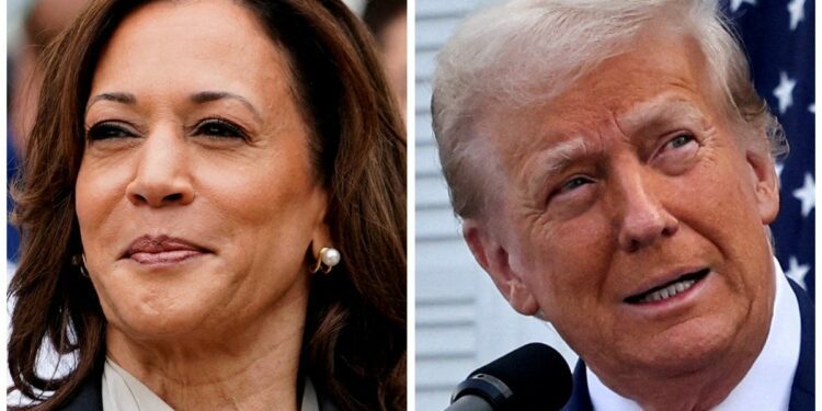 Harris Fox interview, Trump town hall