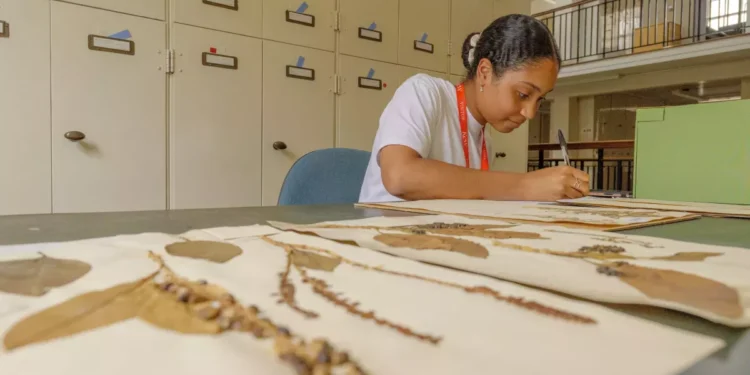 Have you heard of William Thomas March?