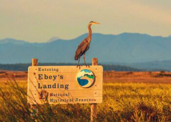 Historic Tails From The Puget Sound Region