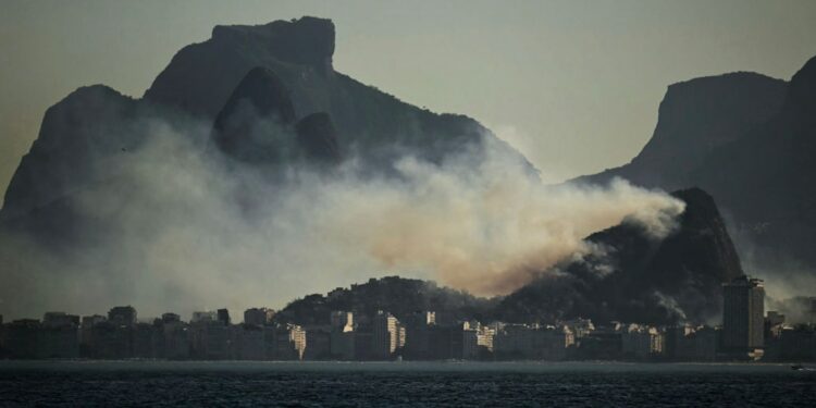The Rainforest Foundation estimates that a staggering 13.4 million acres of Brazil's Amazon have burned in 2024.