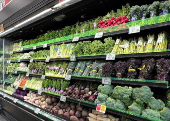 How To Make America Healthy Again