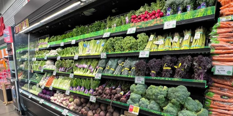 How To Make America Healthy Again