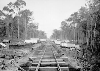 Impacts and legacies of migration across the Pan Amazon