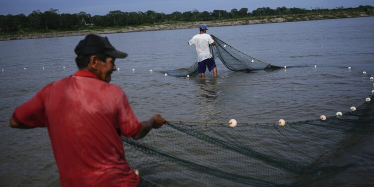 In Colombia, Amazon River's extreme drought falls hard on Indigenous communities