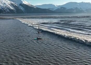 Internet in Awe As Surfers Ride 'Insane' Rare Wave in Alaska