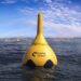 wave energy America