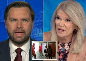 JD Vance rips ABC's Martha Raddatz as she tries to downplay Venezuelan gang takeover in Colorado: 'Do you hear yourself?'