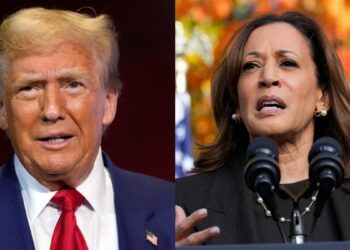 Judge refuses to block Musk $1 million voter giveaway – Firstpost