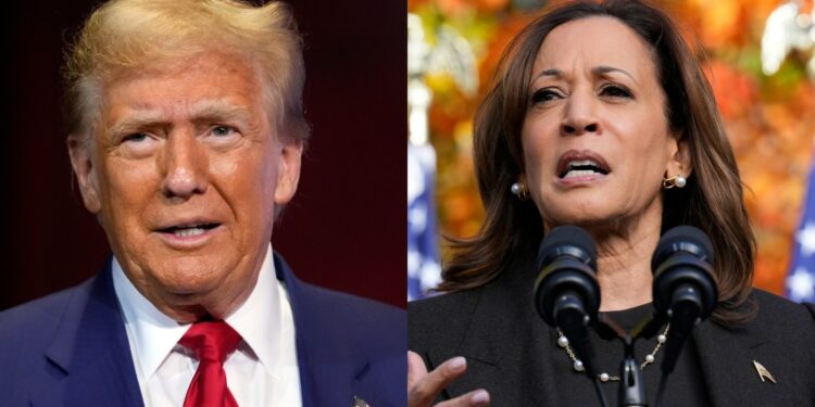 Judge refuses to block Musk $1 million voter giveaway – Firstpost