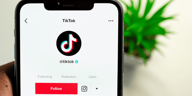 Key TikTok vs Snapchat Users Statistics in 2024 2024