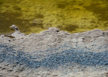 Koch Signs Deal With Standard Lithium, Equinor Backed by Recovery-Rate Promise