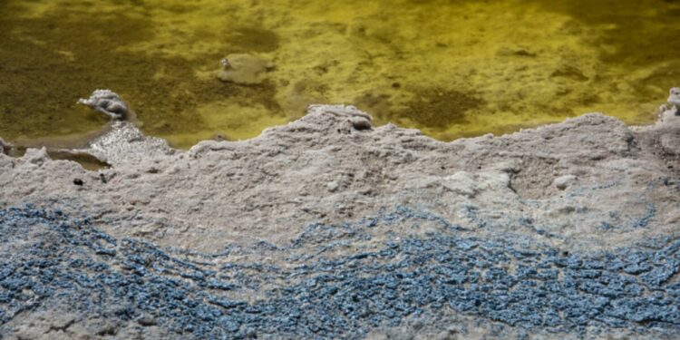 Koch Signs Deal With Standard Lithium, Equinor Backed by Recovery-Rate Promise