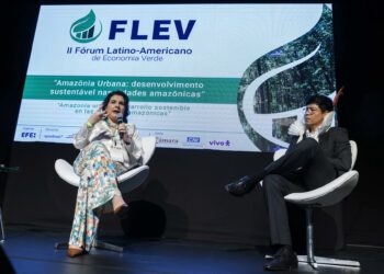 Legislation, waste management, access to water: Latin America's environmental challenges