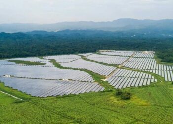 MPC Caribbean completes reorganisation - Jamaica Observer