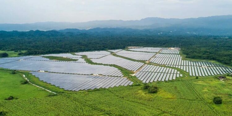 MPC Caribbean completes reorganisation - Jamaica Observer