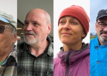 Many Alaska voters say they want parties to work together. What do they mean?