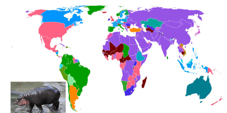 Map Shows Most Popular Animals Around the World