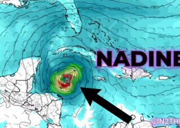 Photo of Jamie Cartwright