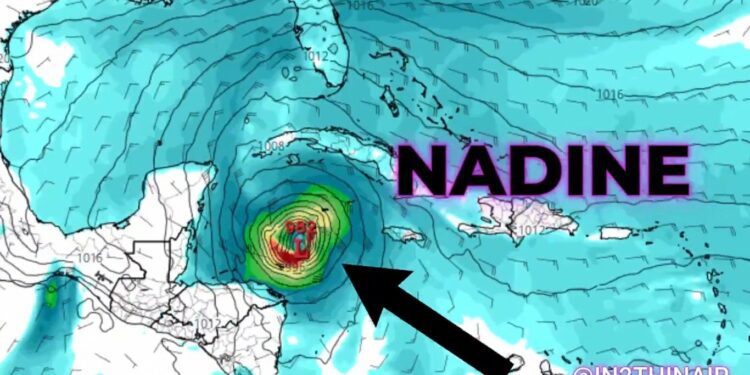 Photo of Jamie Cartwright