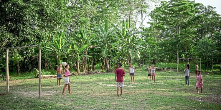 Nature ‘piracy’, funding to dominate UN summit