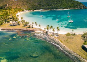 New CEO for St. Vincent and the Grenadines Tourism Authority