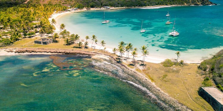 New CEO for St. Vincent and the Grenadines Tourism Authority