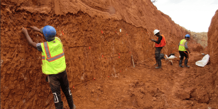 Omai Gold fast-tracks Guyana drilling to speed resource update