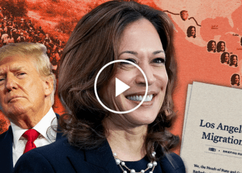 Opinion | How Biden and Harris Built That Wall