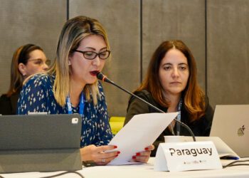 Paraguay oficializó candidatura para ser sede de la próxima Reunión Ministerial sobre Gobernanza de la OCDE | Locales