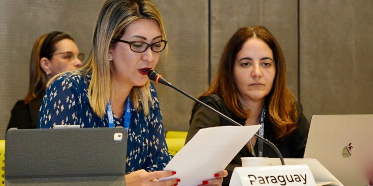 Paraguay oficializó candidatura para ser sede de la próxima Reunión Ministerial sobre Gobernanza de la OCDE | Locales