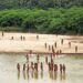 Peruvians are debating how to protect isolated tribes