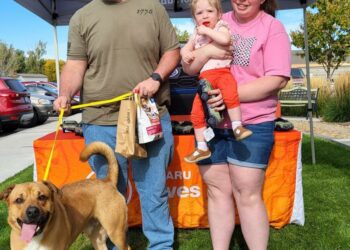 Phil Meador Subaru helps find homes for pets at community adoption event