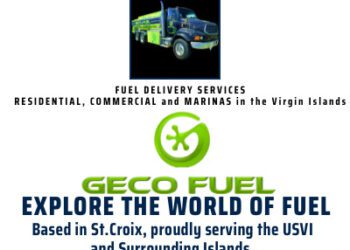 Plaskett Outclasses Opponents at WTJX Congressional Forum