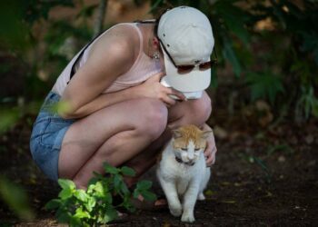 CUTE CREATURE A woman pets a stray cat in the historic district of Old San Juan in Puerto Rico on April 3, 2024. AFP FILE PHOTO