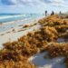 Regional cooperation a must to combat Sargassum threat