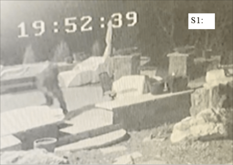 Grainy black-and-white security camera footage with a timestamp captures a person walking in an outdoor area featuring steps and potted plants.