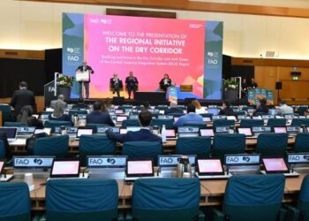 Sica ha movilizado $14 millones para fortalecer el corredor seco y zonas áridas de Centroamérica