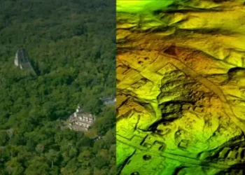 Wild Blue Media/Channel 4 A split image with one side showing an aerial look on Mayan ruins in Guatemala's northern jungle, and the other side showing a digital landscape that strips away the forest canopy to reveal structures under the ground.