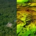 Wild Blue Media/Channel 4 A split image with one side showing an aerial look on Mayan ruins in Guatemala's northern jungle, and the other side showing a digital landscape that strips away the forest canopy to reveal structures under the ground.